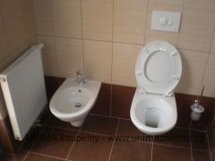 Závěsné WC azávěsný bidet